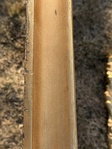 054d6